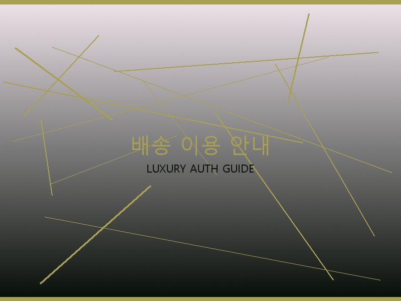 폴로 22 백 레플 배송 이용 안내